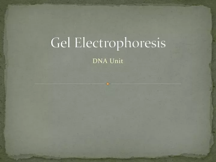 gel electrophoresis