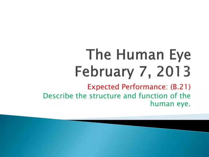 the human eye february 7 2013