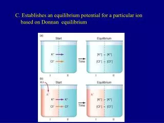 C. Establishes an equilibrium potential for a particular ion