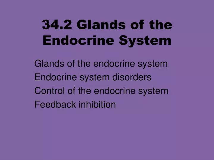 34 2 glands of the endocrine system