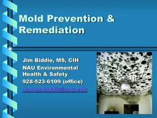 Mold Prevention &amp; Remediation
