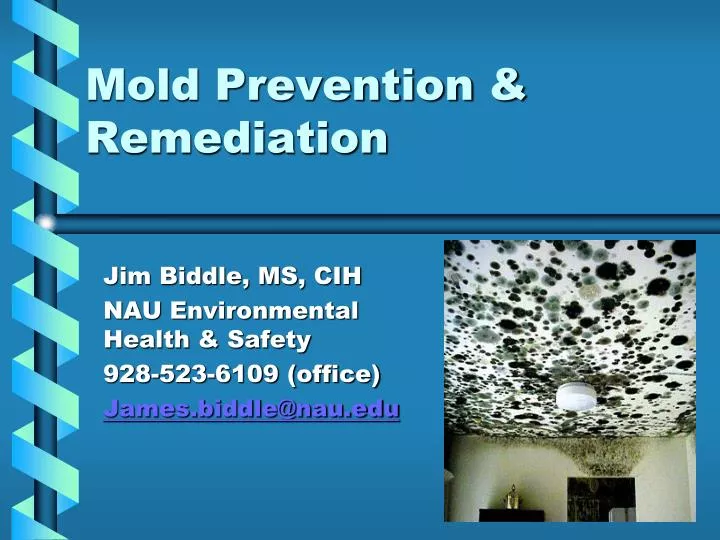 mold prevention remediation