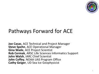 Pathways Forward for ACE