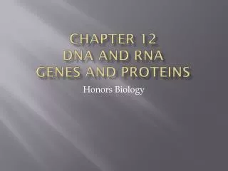 chapter 12 D NA and RNA Genes and Proteins