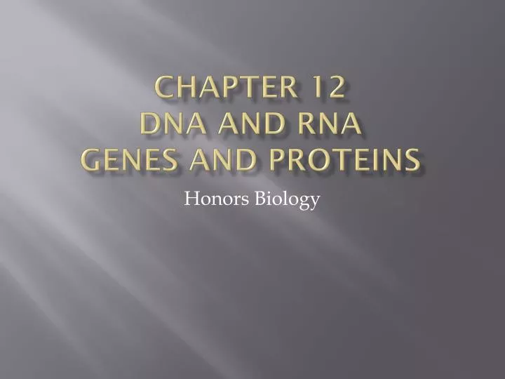 chapter 12 d na and rna genes and proteins