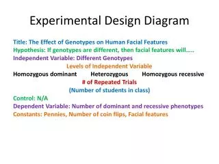 Experimental Design Diagram
