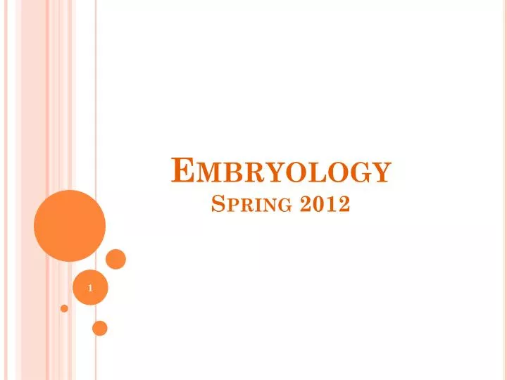 embryology spring 2012
