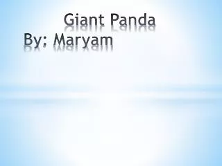 Giant Panda By: Maryam