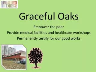 Graceful Oaks