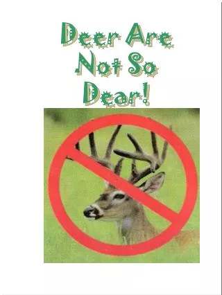 Deer Are Not So Dear!