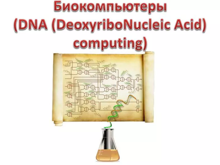 dna deoxyribonucleic acid computing