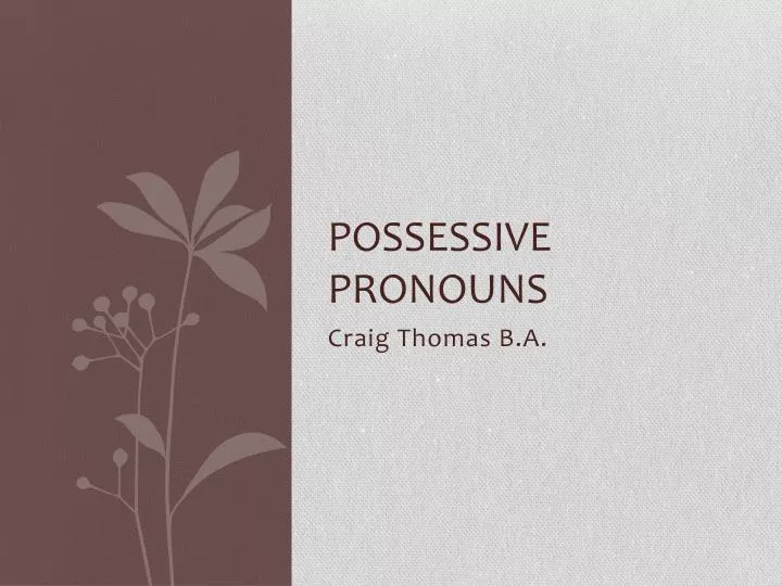 possessive pronouns