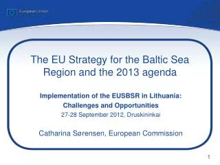 The EU Strategy for the Baltic Sea Region and the 2013 agenda