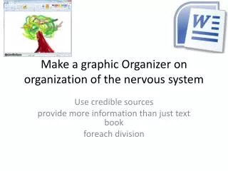 Make a graphic Organizer on organization of the nervous system