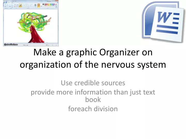 make a graphic organizer on organization of the nervous system