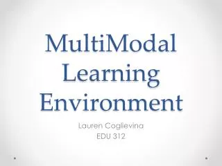 MultiModal Learning Environment