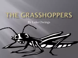 The Grasshoppers