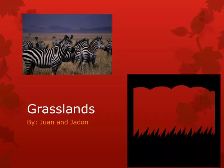 grasslands
