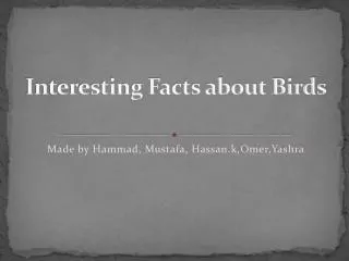 Interesting Facts about Birds