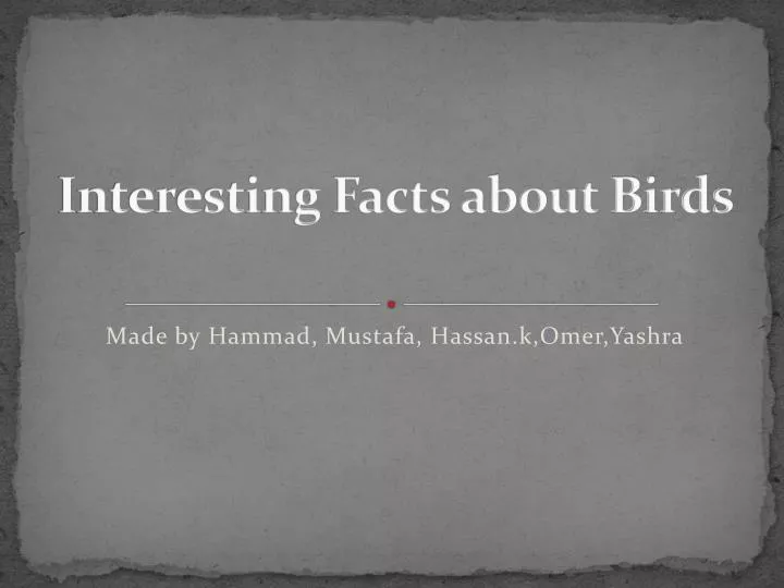 interesting facts about birds