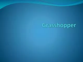 Grasshopper