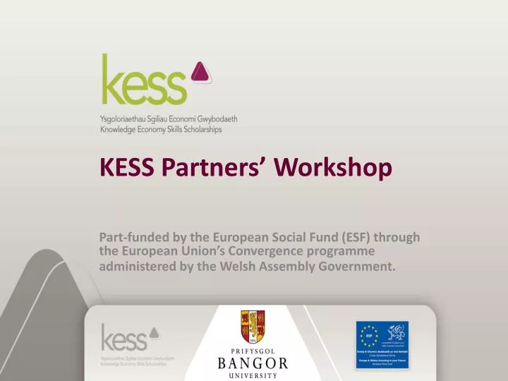 kess partners workshop