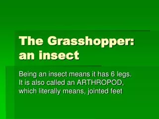 The Grasshopper: an insect