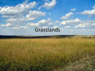 Grasslands