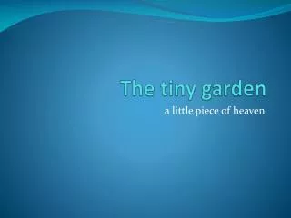 The tiny garden