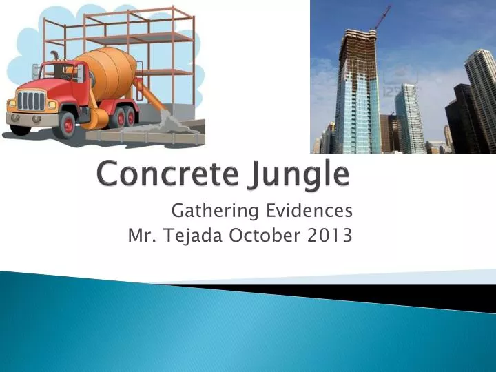 concrete jungle
