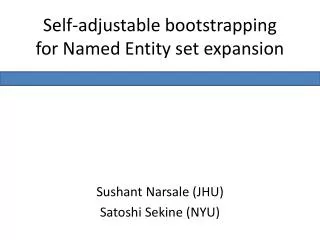 Self-adjustable bootstrapping for Named Entity set expansion