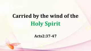 Carried by the wind of the Holy Spirit