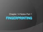 Fingerprinting - slide 1