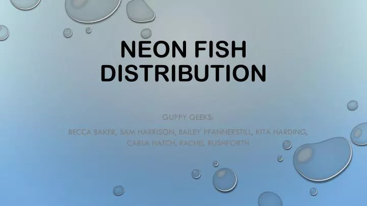 neon fish distribution