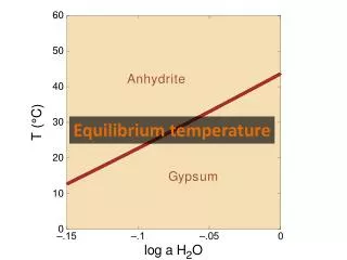 Equilibrium temperature