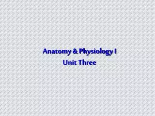 Anatomy &amp; Physiology I Unit Three