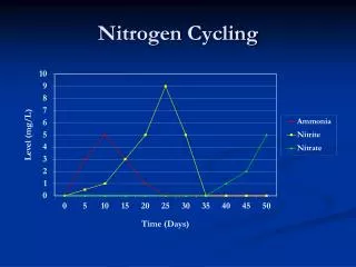 Nitrogen Cycling