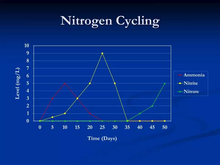 nitrogen cycling