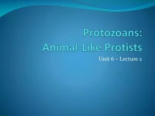 Protozoans : Animal-Like Protists