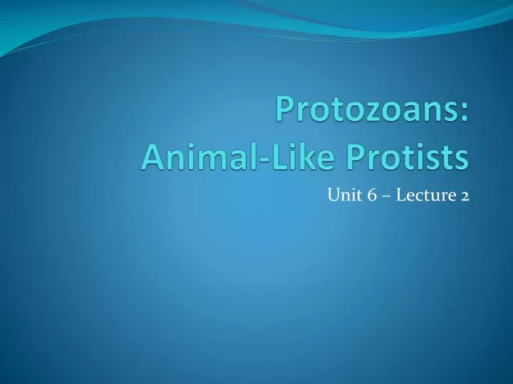 protozoans animal like protists