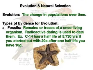 Evolution &amp; Natural Selection Evolution: The change in populations over time.