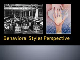 Behavioral Styles Perspective