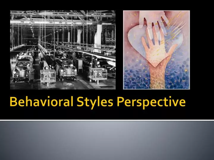 behavioral styles perspective