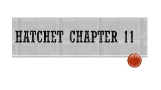 Hatchet chapter 11