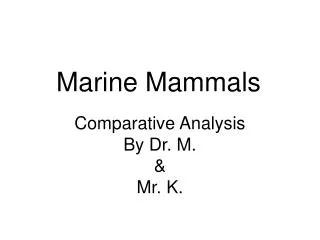 Marine Mammals