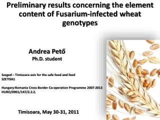 Preliminary results concerning the element content of Fusarium-infected wheat genotypes