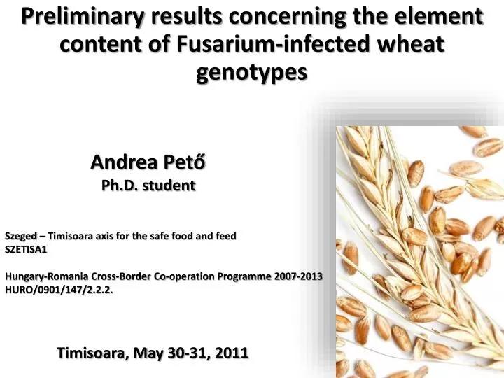 preliminary results concerning the element content of fusarium infected wheat genotypes