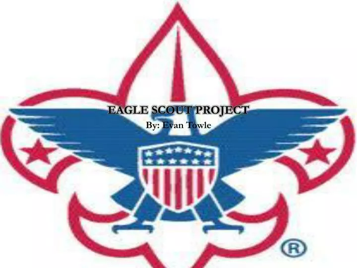 eagle scout project