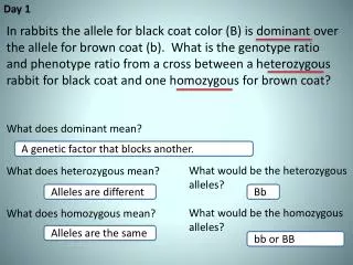 What does dominant mean? What does heterozygous mean? What does homozygous mean?