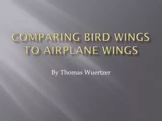 Comparing bird wings to airplane wings